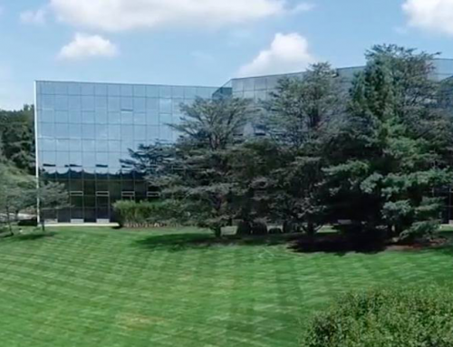 Your Landscape is More Than Just a Pretty Face